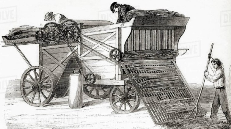 19th Century threshing machine removes the grain (wheat, oats, etc.) from the stalks