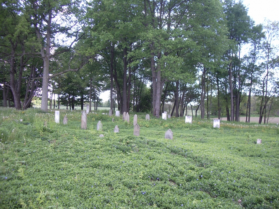 Putnam Settlement Cemetery located on Putnam Road, Bethany, New York